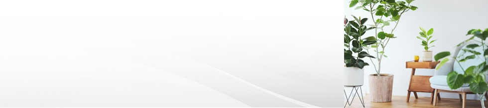 �ЂƂ͂ȃI�����C���V���b�v�yHitoHana�z�Ӓ����E�ϗt�A��